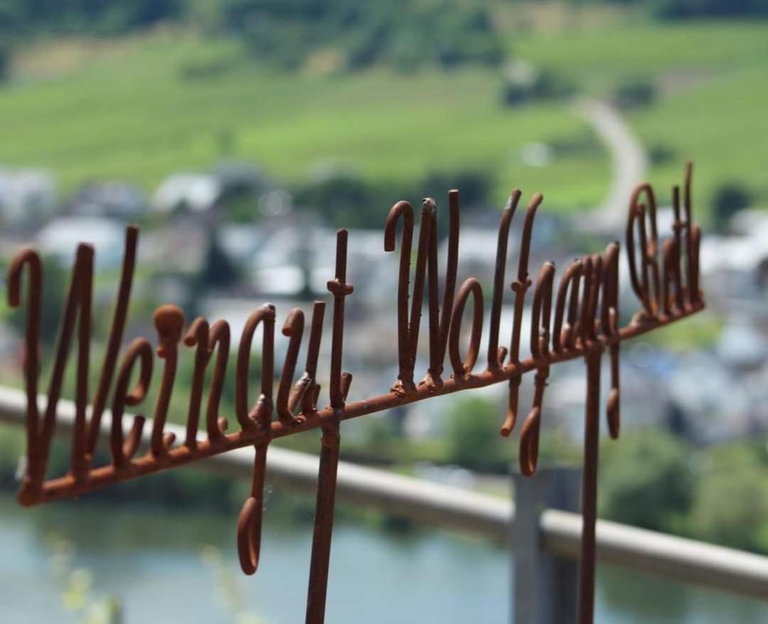 Weingut Und Gaestehaus Wolfgang Beth Kinheim エクステリア 写真